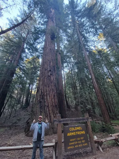 Andy standing beneath a giant redwood tree